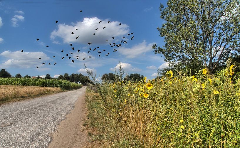 Panorama d'un paysage d'été par Edgar Schermaul