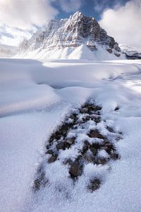Een winterochtend in Canada van Daniel Gastager