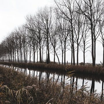 Kanal von Damme Landschaftsreflexion, Belgien von Imladris Images