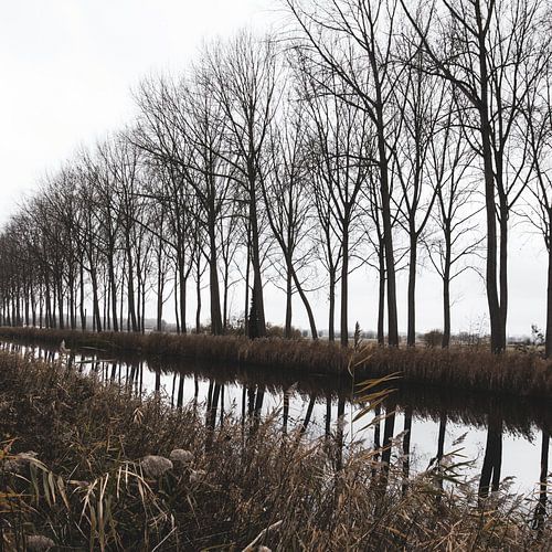 Damme Canal Landscape Reflection, Belgium