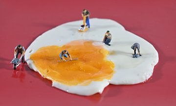 Egg working van Jeroen Harmsen