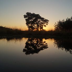 Zonsondergang in de Groote Peel van Mark Koolen