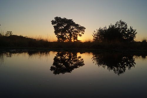 Zonsondergang in de Groote Peel