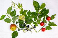 Flat lay met verse groentes en fruit uit de tuin van Hilda Weges thumbnail