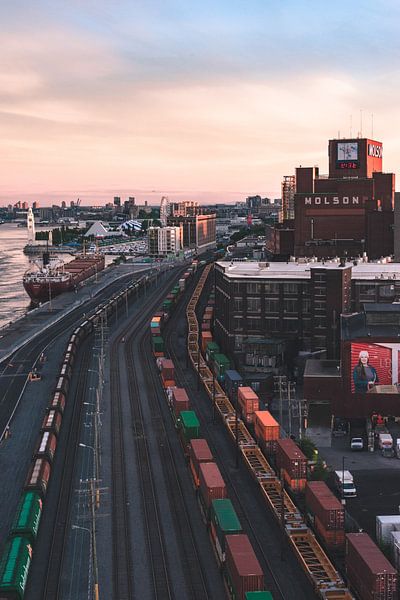 Montreal by Hello Pompoyo