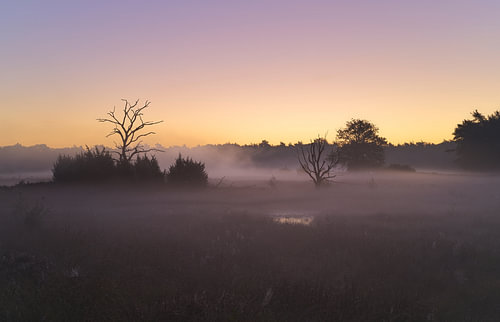 Sunrise at Dwingelderveld (Netherlands)