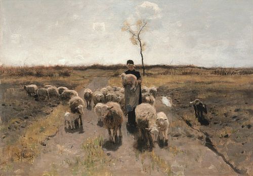 Het pasgeboren lam, Anton Mauve