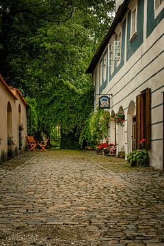 Idyllisch straatje in Český Krumlov van Nicolette Suijkerbuijk