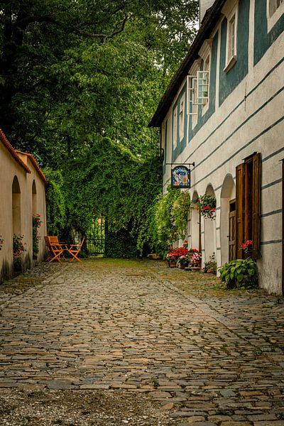 Idyllische Straße in Český Krumlov von Nicolette Suijkerbuijk