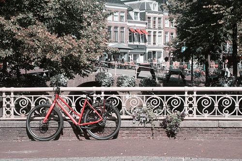 Marché aux légumes pittoresque de Leeuwarden à vélo rouge - Charme historique et vie quotidienne