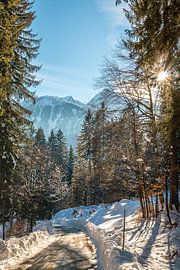 Bright winter day