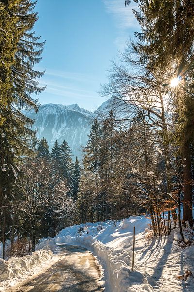 Bright winter day by Mariette Alders