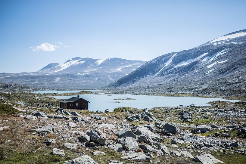 Plateau norvégien par Mariska Nauta