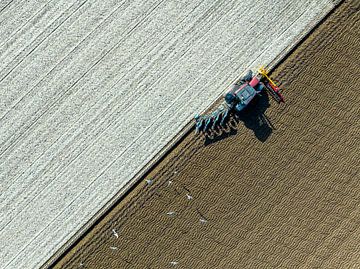 Traktor pflügt den Boden für die Anpflanzung von Pflanzen von Sjoerd van der Wal Fotografie