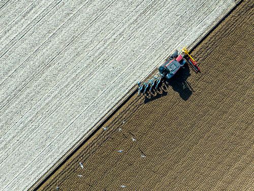 Tractor ploegt de grond voor het planten van gewassen