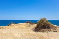 Kale vlakte met zand aan kust in Portugal van Ben Schonewille thumbnail