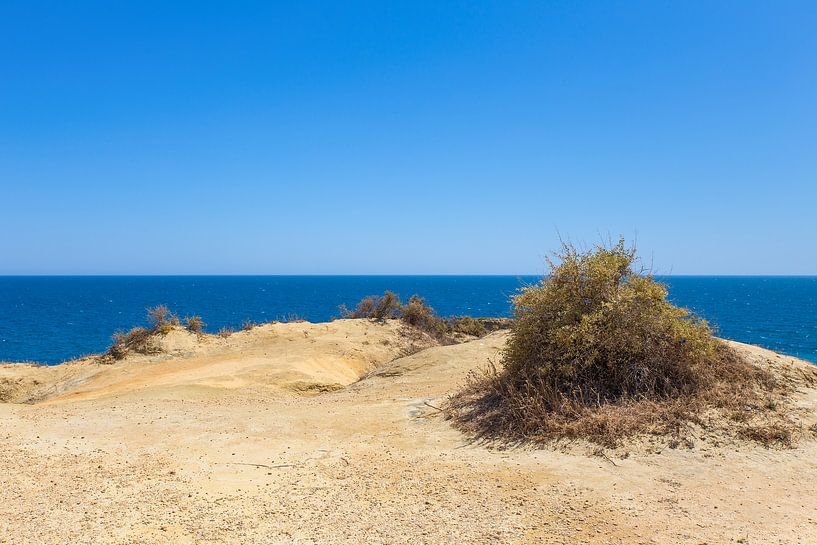 Kale vlakte met zand aan kust in Portugal van Ben Schonewille