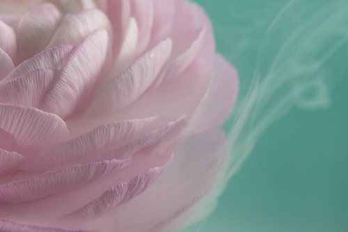 With a hint of smoke by Marjolijn van den Berg
