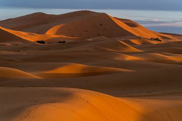 Zandduinen in de woestijn bij Merzouga, Marokko van Peter Schickert