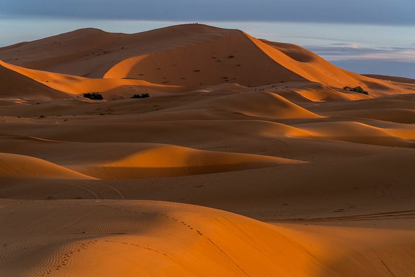 Sanddünen in der Wüste bei Merzouga, Marokko von Peter Schickert