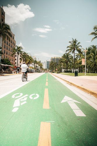 Buiten de lijntjes | Miami Beach