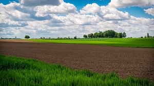 Limburgse Gloed – Waar licht het landschap kust