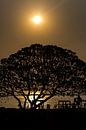 Sunset op Gili Trawangan van Willem Vernes thumbnail