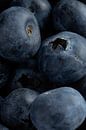 Blauwe bessen van Cees Mooijekind thumbnail