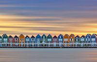 Colored houses