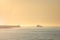 Golden Morning