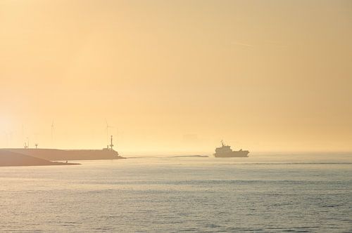 Matin doré sur PJM Captures