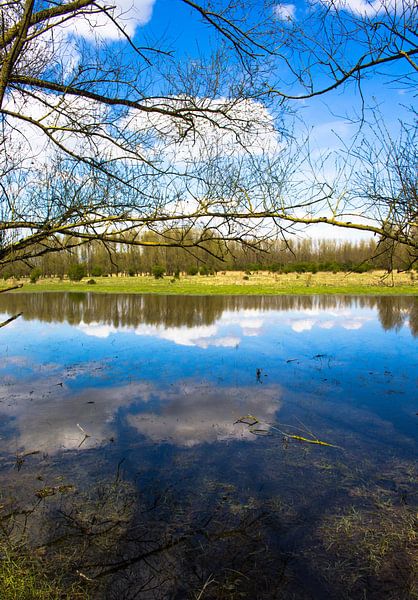 Reflectie van Patrick Ruitenbeek