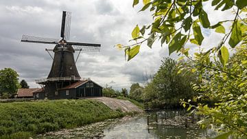 Dutch landscape | mill | Deventer by Marianne Twijnstra