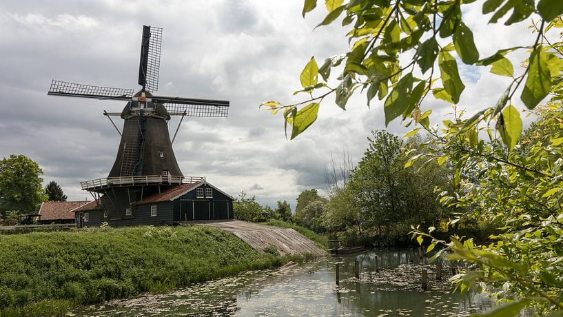 Hollands landschap | molen | Deventer van Marianne Twijnstra
