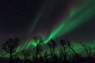 Aurora Borealis in Schwedisch Lappland von Jiri Viehmann Miniaturansicht