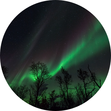 Aurora Borealis in Zweeds Lapland van Jiri Viehmann