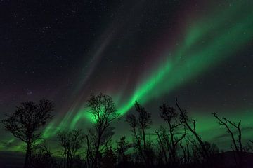 Aurora Borealis in Swedish Lapland by Jiri Viehmann