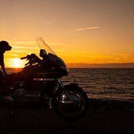 hond op motor bij zonsondergang van Annelies Cranendonk