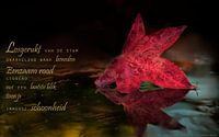 Rood herfstblad