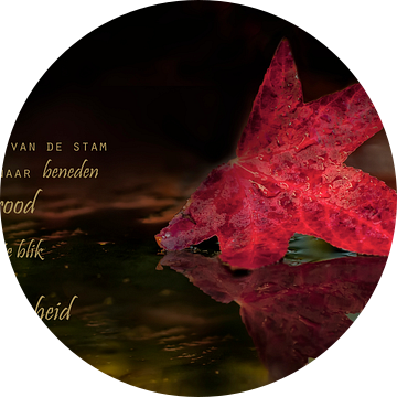 Rood herfstblad van Beeld en Poëzie
