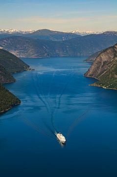 Aurlandsfjord in Noorwegen met een cruiseschip dat het fjord binnenvaart van Sjoerd van der Wal