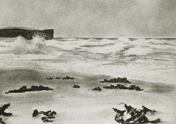 Zeewier bij Helgoland van Johannes Rohen