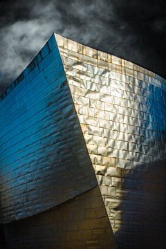 Guggenheim Bilbao donker met reflectie