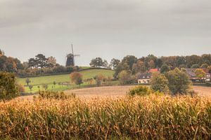 Molen op de Vrouwenheide von John Kreukniet