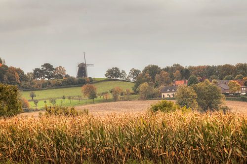 Molen op de Vrouwenheide