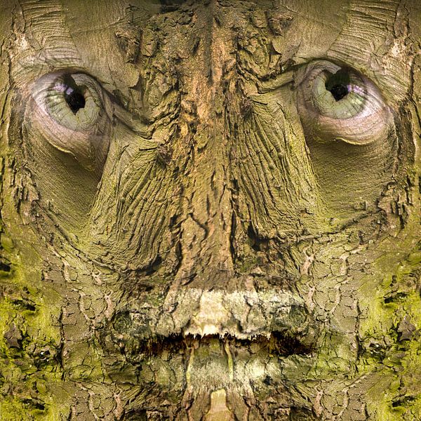Boomgeest by Istvan Szabo