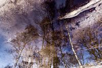 Kampina 3