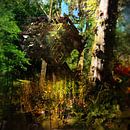 Aporia IV (nature calls) by Elwin Staal thumbnail