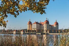  Moritzburg Castle, Saxony