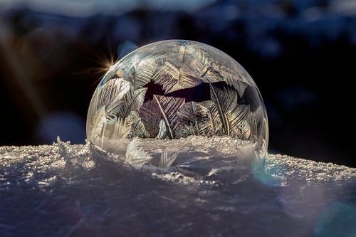 Frozen bubble 2021